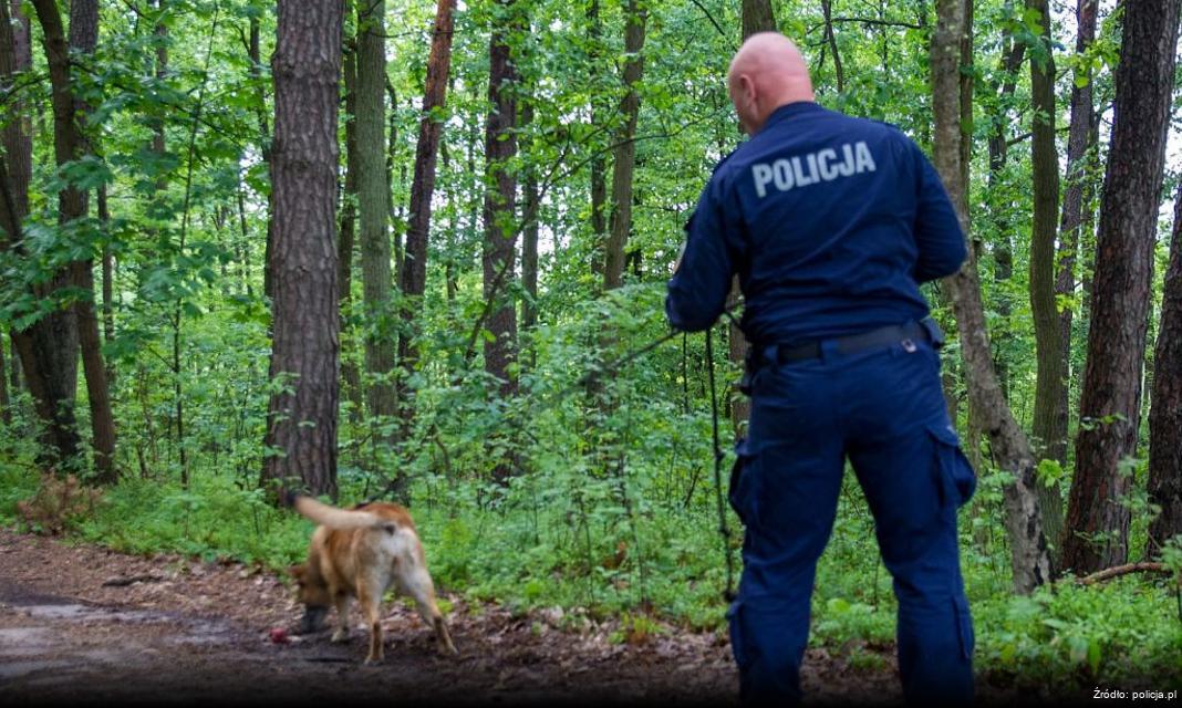 Bezpłatne sprawdzanie oświetlenia pojazdów w ramach kampanii „Twoje światła – Nasze bezpieczeństwo”