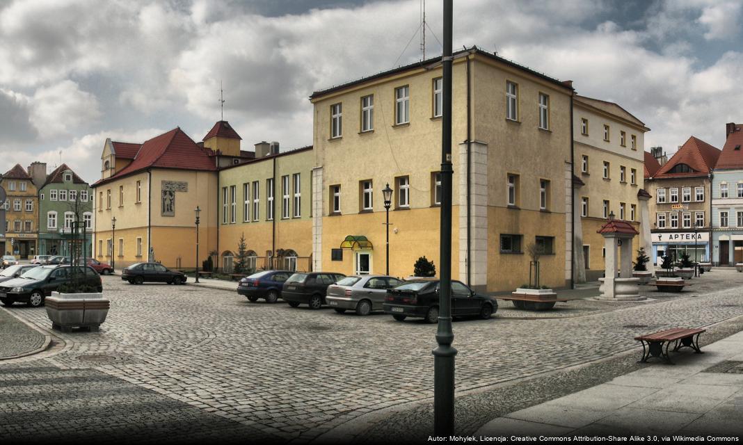 Aktywność młodzieży z Żar w dziedzinie wolontariatu: Inicjatywy społeczne w centrum zainteresowania